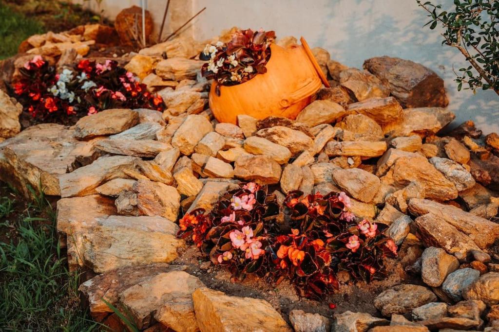 Villa Henriques 폰테 데 리마 외부 사진